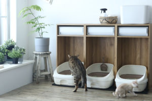 ニトリ Ikea 猫トイレカバーのおすすめ人気ランキング10選 カラーボックスで自作もできる Monocow モノカウ